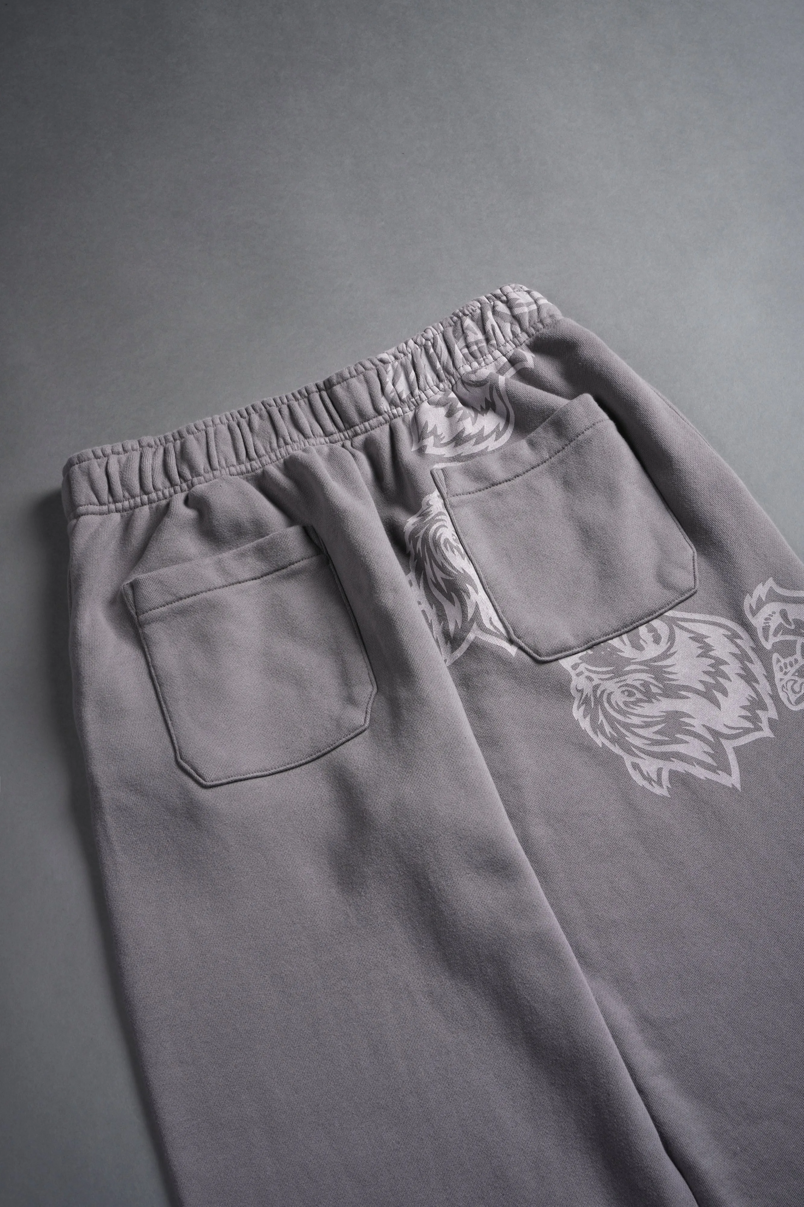 Surrounded By Family She Big Cozy Sweats in Pale Gray